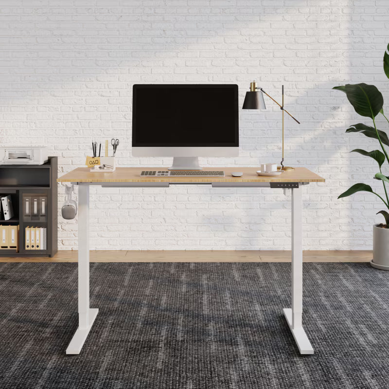 FlexiSpot Escritorio Elevable Eléctrico EN1