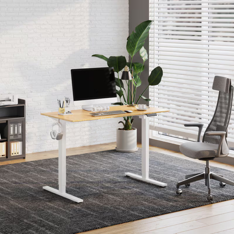 FlexiSpot Escritorio Elevable Eléctrico EN1